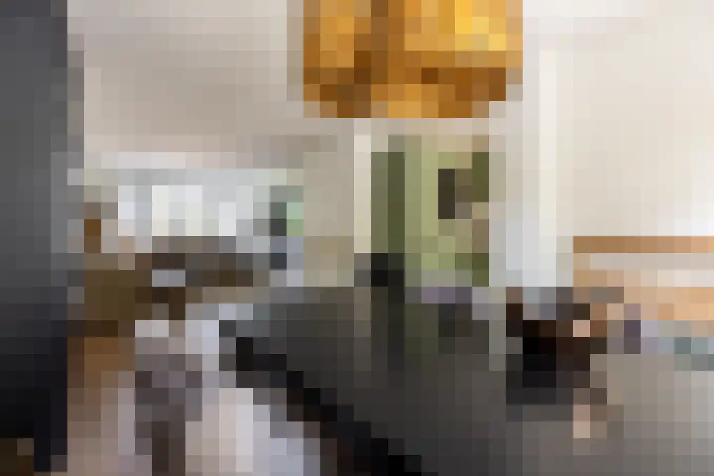 Ommoordseweg 24 Rotterdam thumbnail 11