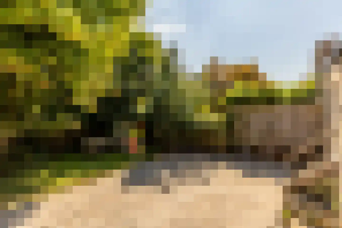 Ommoordseweg 24 Rotterdam thumbnail 14