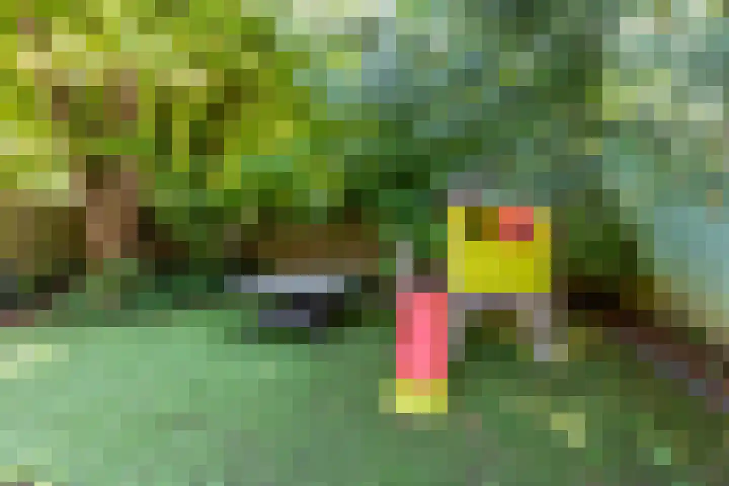 Ommoordseweg 24 Rotterdam thumbnail 17