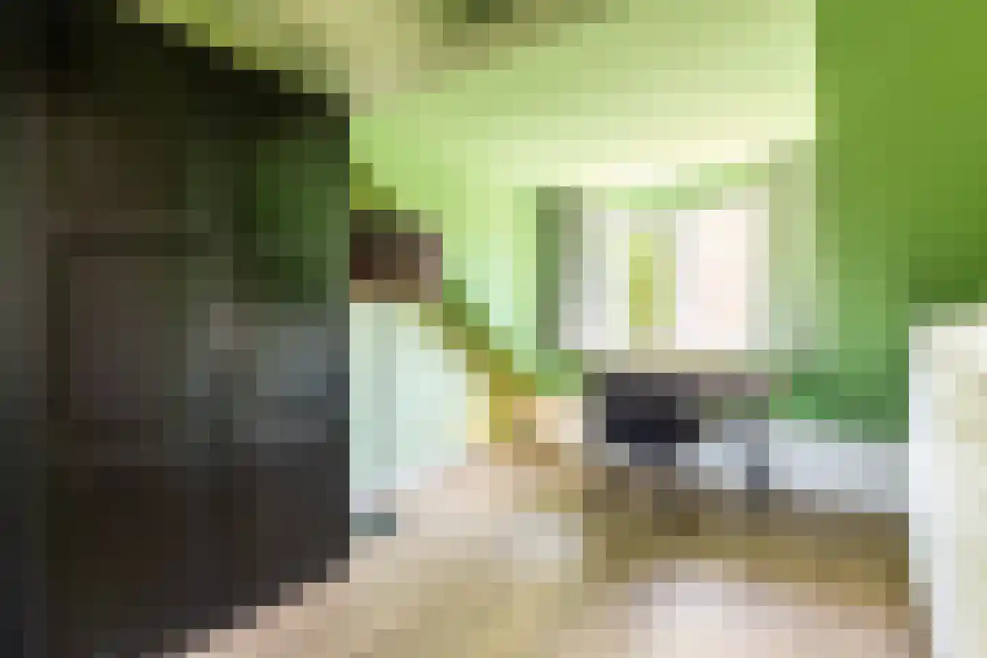 Ommoordseweg 24 Rotterdam thumbnail 27