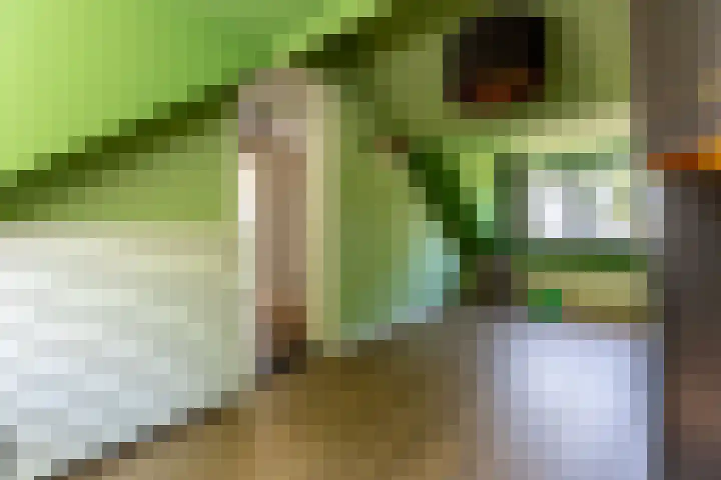 Ommoordseweg 24 Rotterdam thumbnail 28