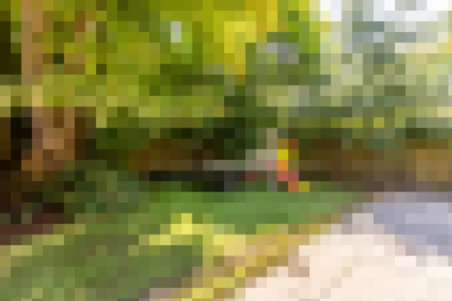 Ommoordseweg 24 Rotterdam thumbnail 33