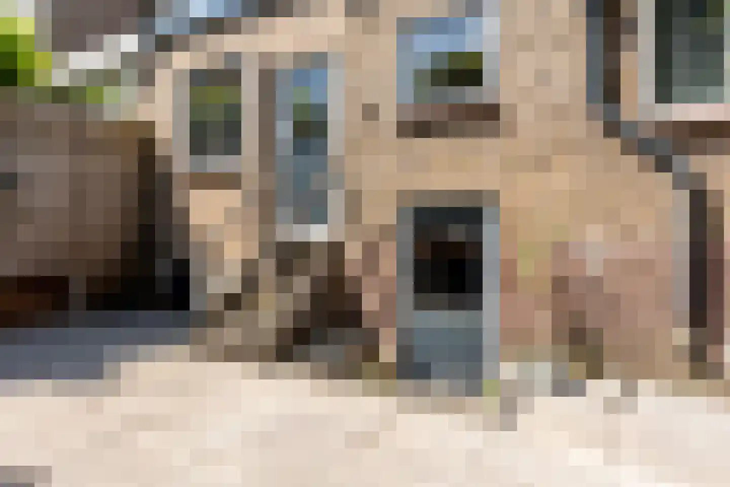 Ommoordseweg 24 Rotterdam thumbnail 34