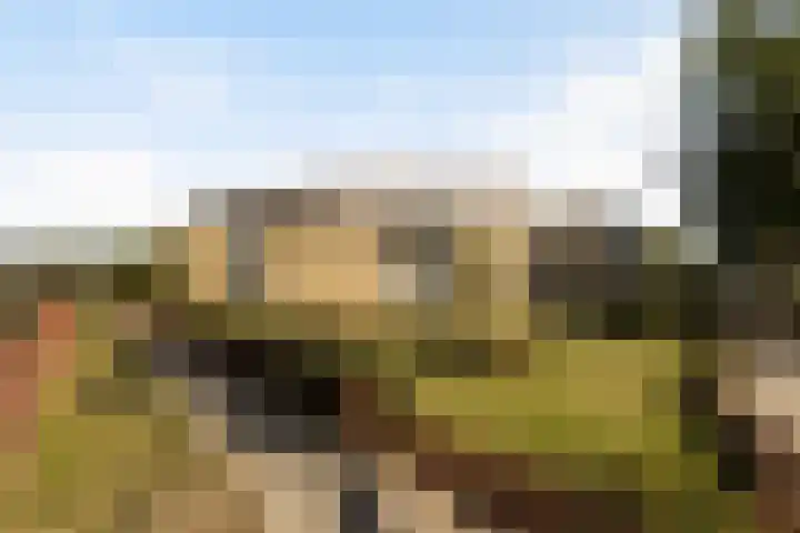 Omnium 4 Krimpen aan den IJssel thumbnail 23