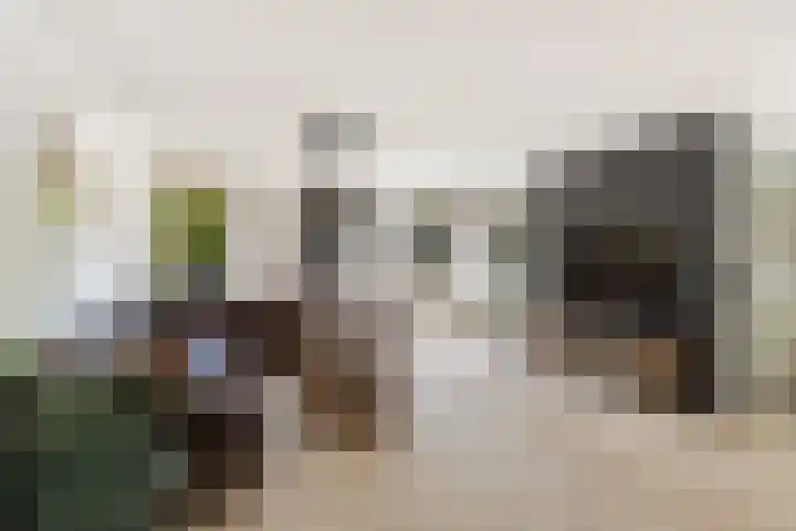Omnium 4 Krimpen aan den IJssel thumbnail 4