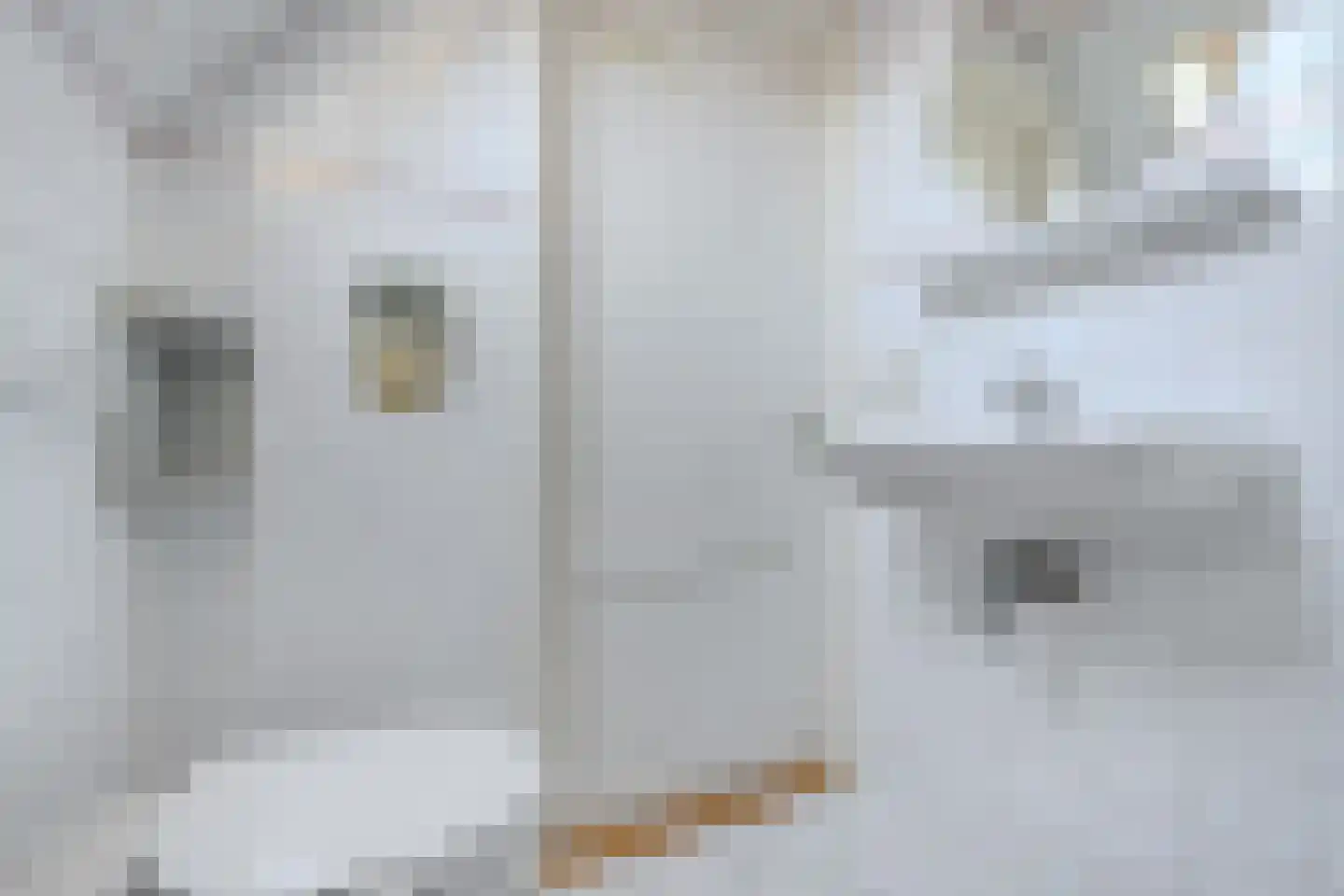 Omrin 13 Nijemirdum thumbnail 37