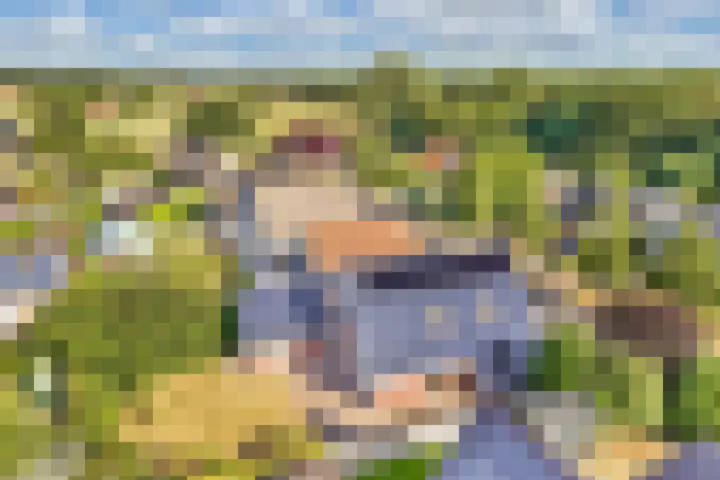 Omrin 13 Nijemirdum thumbnail 43