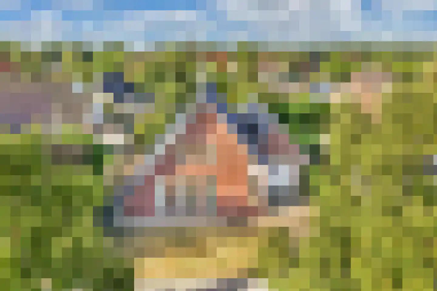 Omrin 13 Nijemirdum thumbnail 6