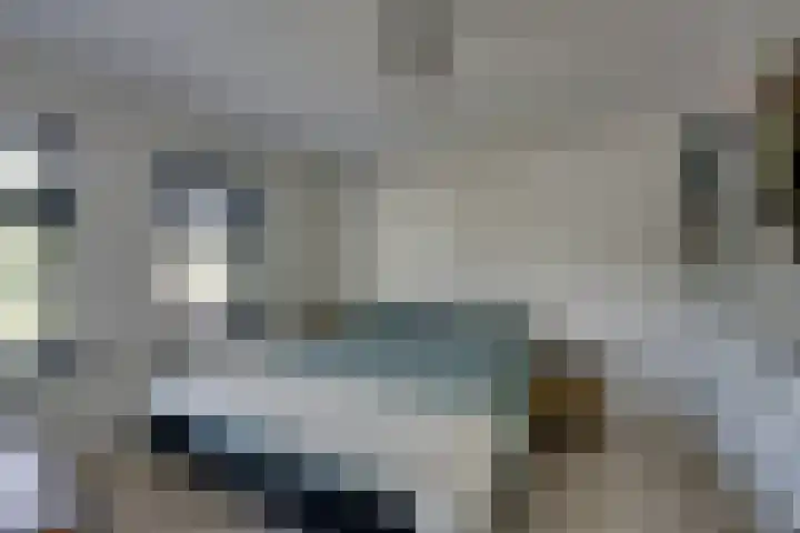 Omring 10 Heerhugowaard thumbnail 25