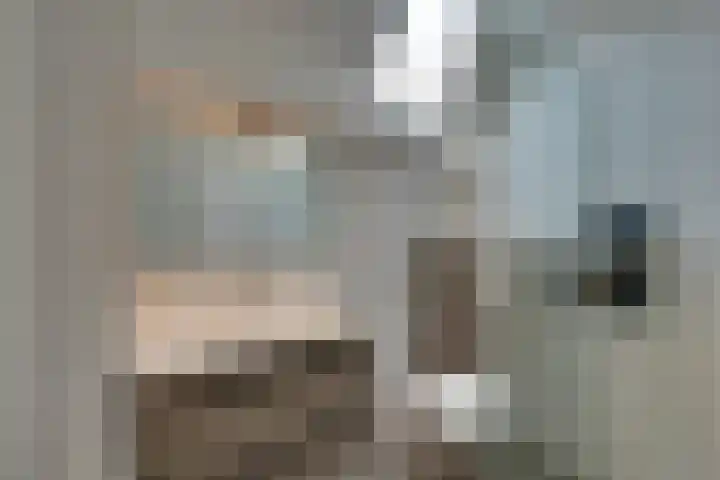 Omring 10 Heerhugowaard thumbnail 34