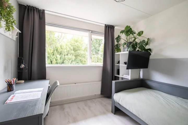 Omring 59 Heerhugowaard thumbnail 17