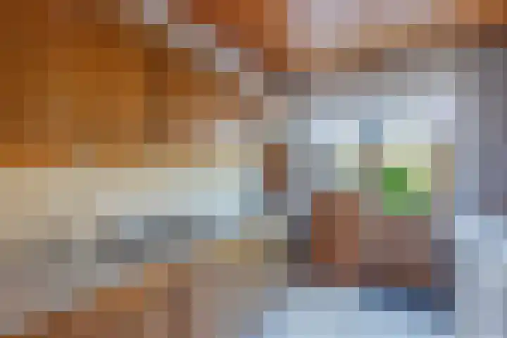 Omroeplaan 20 Huizen thumbnail 11