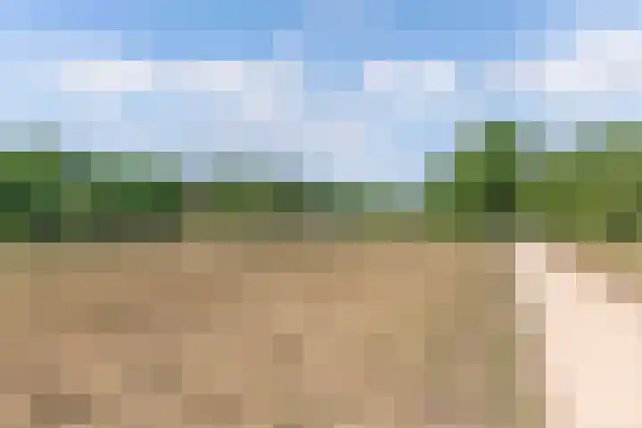 Omroeplaan 20 Huizen thumbnail 16