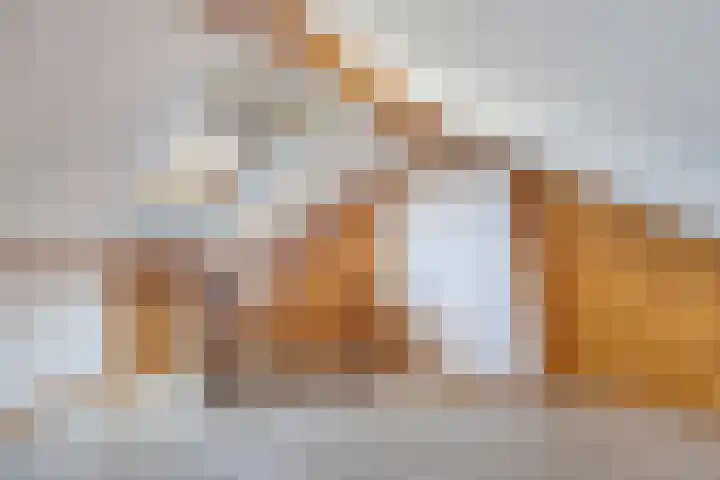 Omroeplaan 20 Huizen thumbnail 26