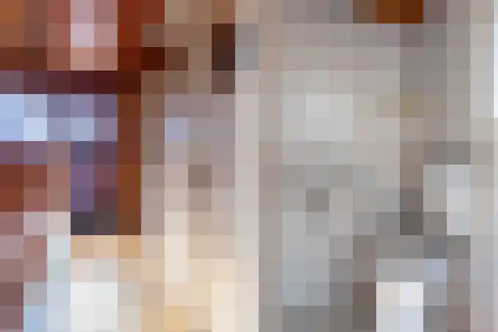 Omroeplaan 20 Huizen thumbnail 5