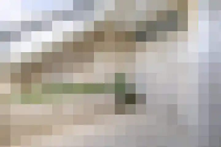 Omroeplaan 34 Huizen thumbnail 34