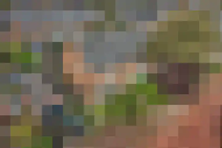 Omroeplaan 34 Huizen thumbnail 40