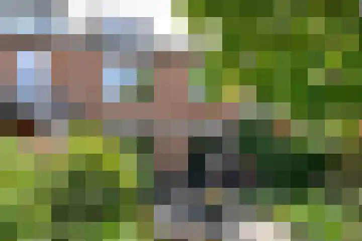 Omroeplaan 4 Huizen thumbnail 18