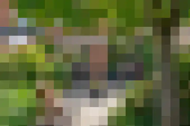 Omroeplaan 4 Huizen thumbnail 19
