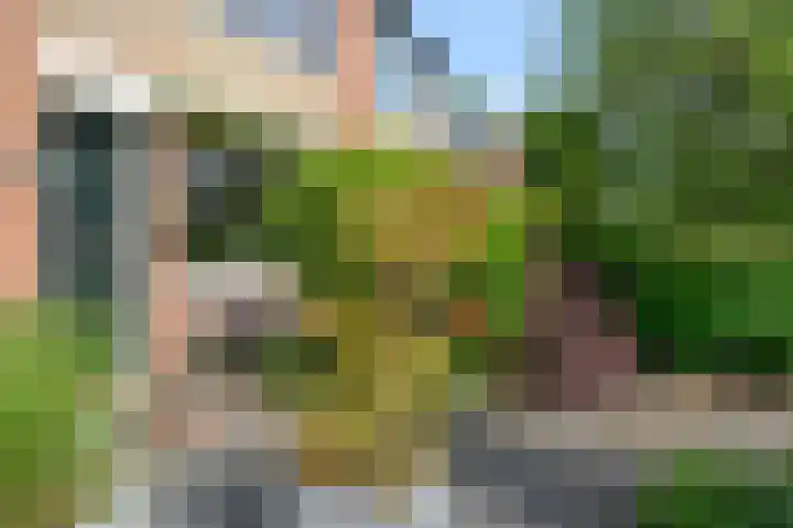 Omroeplaan 4 Huizen thumbnail 20