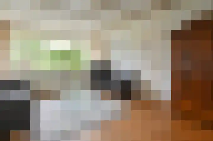 Omroeplaan 4 Huizen thumbnail 4