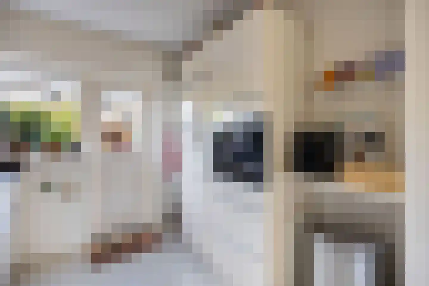 Omroeplaan 8 Huizen thumbnail 15
