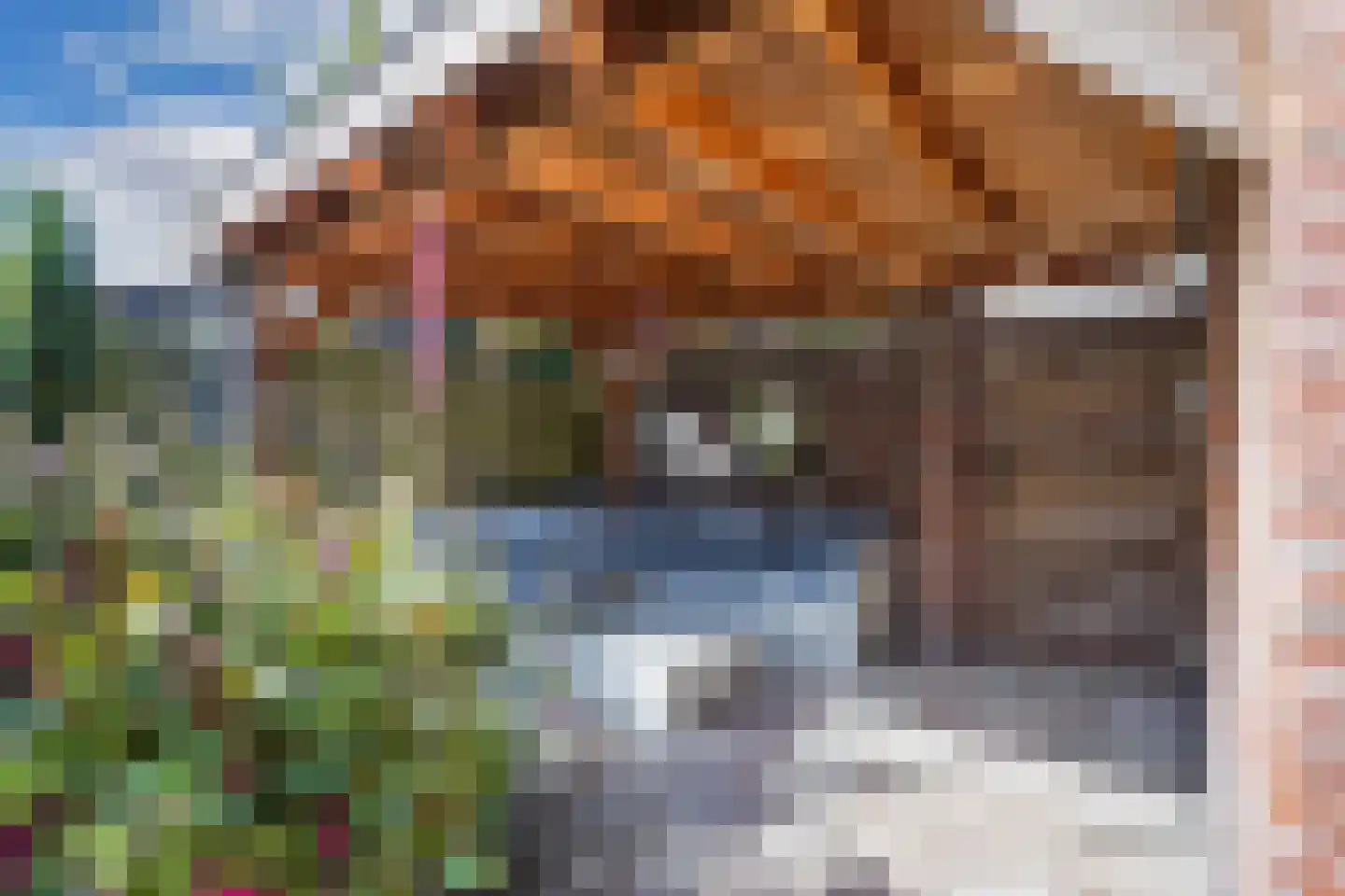 Omroeplaan 8 Huizen thumbnail 28