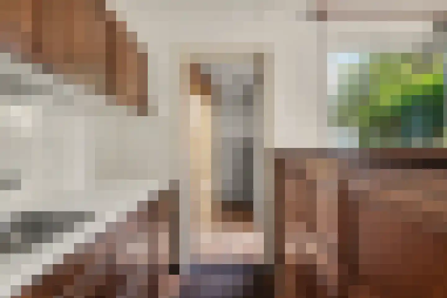 Omschoorweg 7 Raamsdonksveer thumbnail 10
