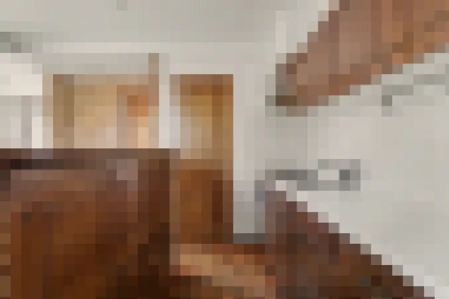 Omschoorweg 7 Raamsdonksveer thumbnail 11