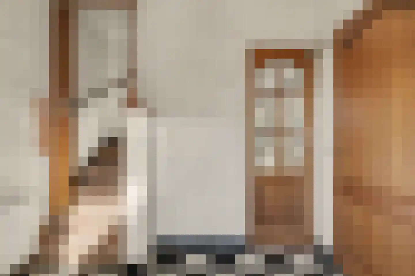 Omschoorweg 7 Raamsdonksveer thumbnail 16
