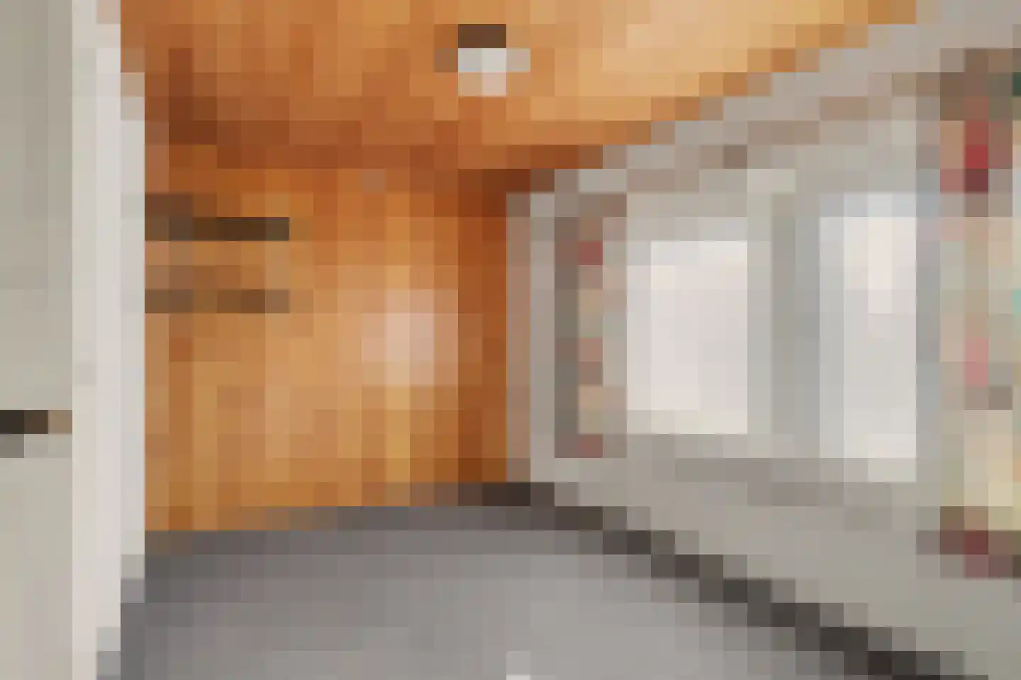 Omschoorweg 7 Raamsdonksveer thumbnail 19