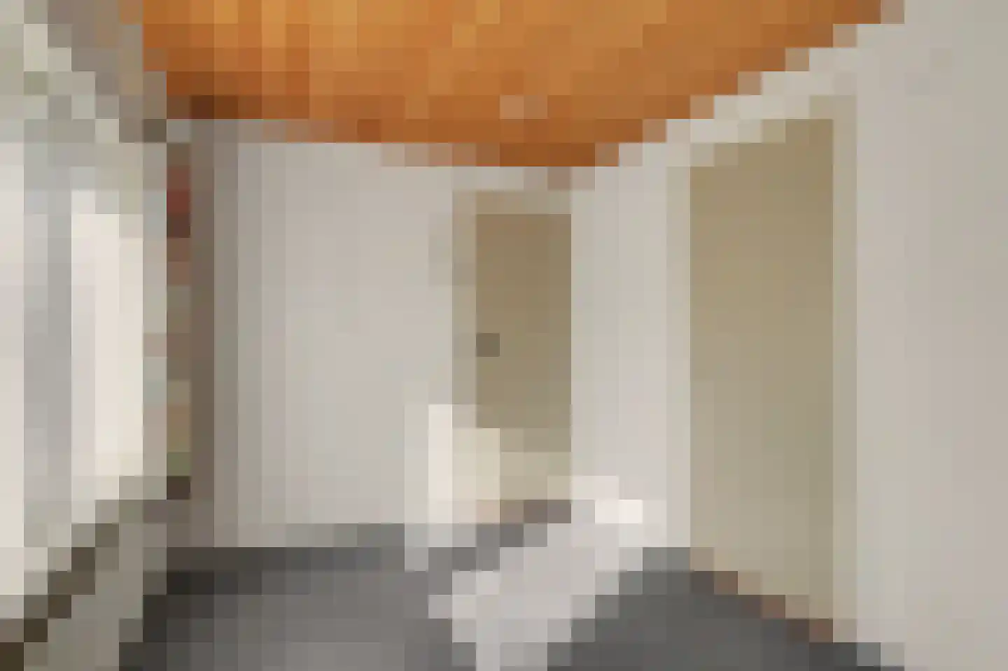 Omschoorweg 7 Raamsdonksveer thumbnail 25