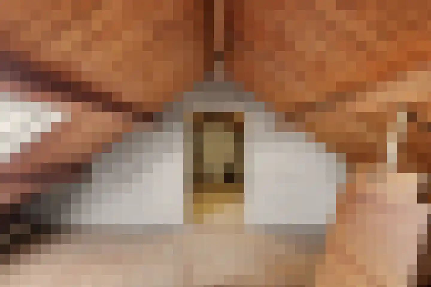 Omschoorweg 7 Raamsdonksveer thumbnail 28