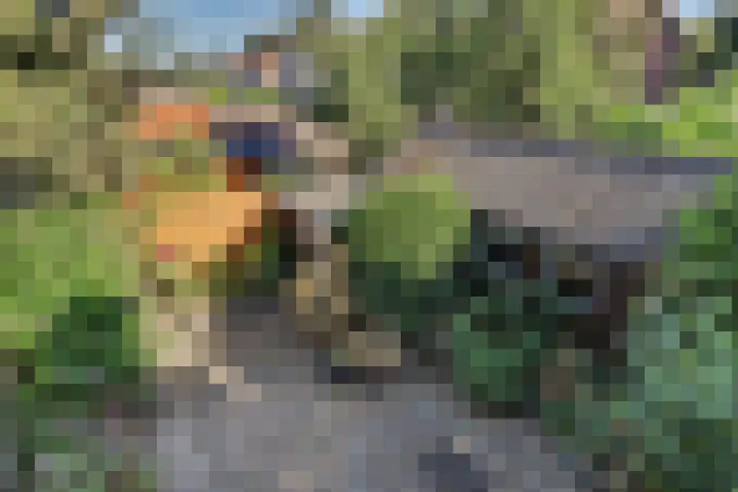 Omschoorweg 7 Raamsdonksveer thumbnail 32