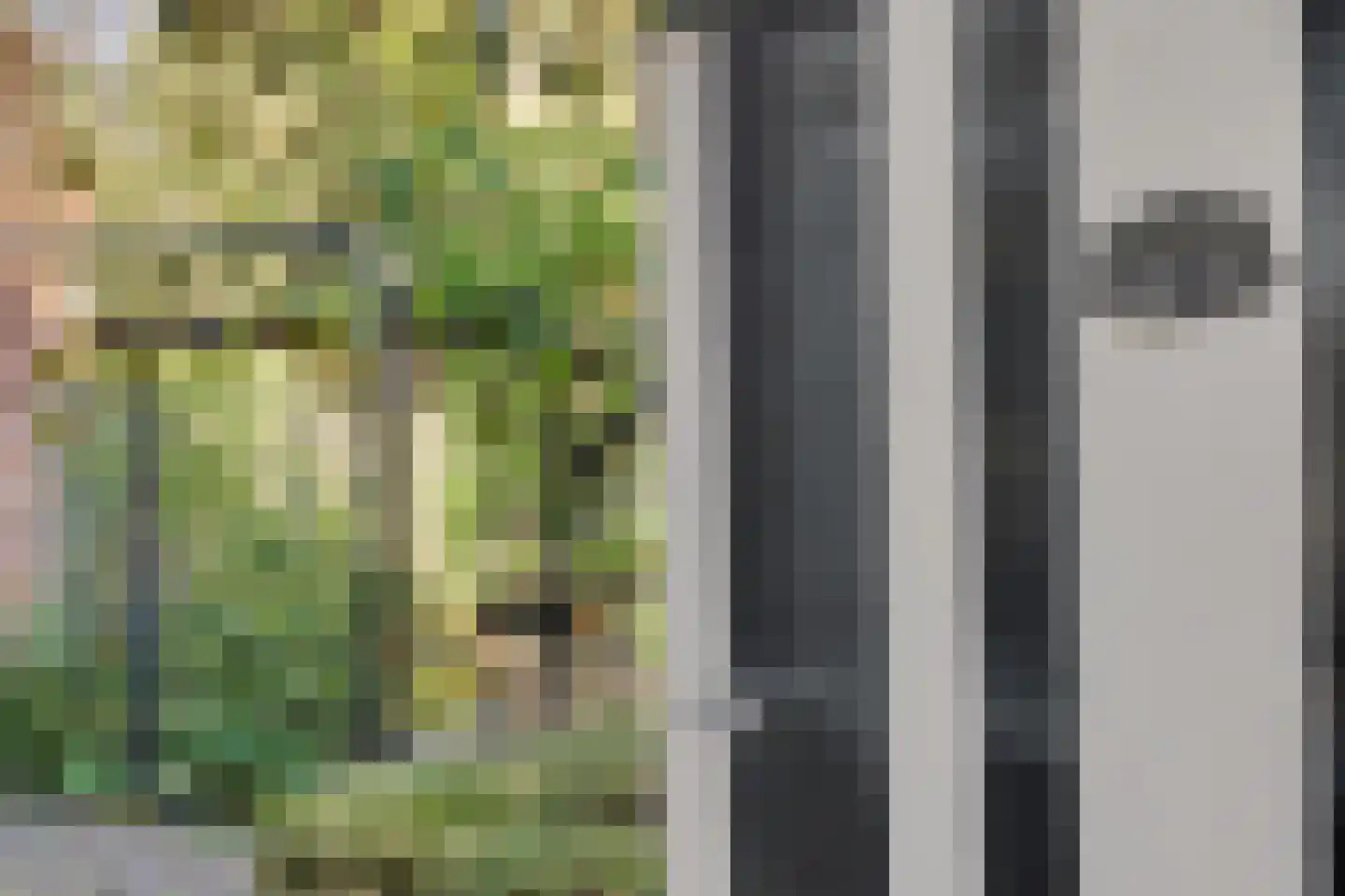 Omschoorweg 7 Raamsdonksveer thumbnail 34