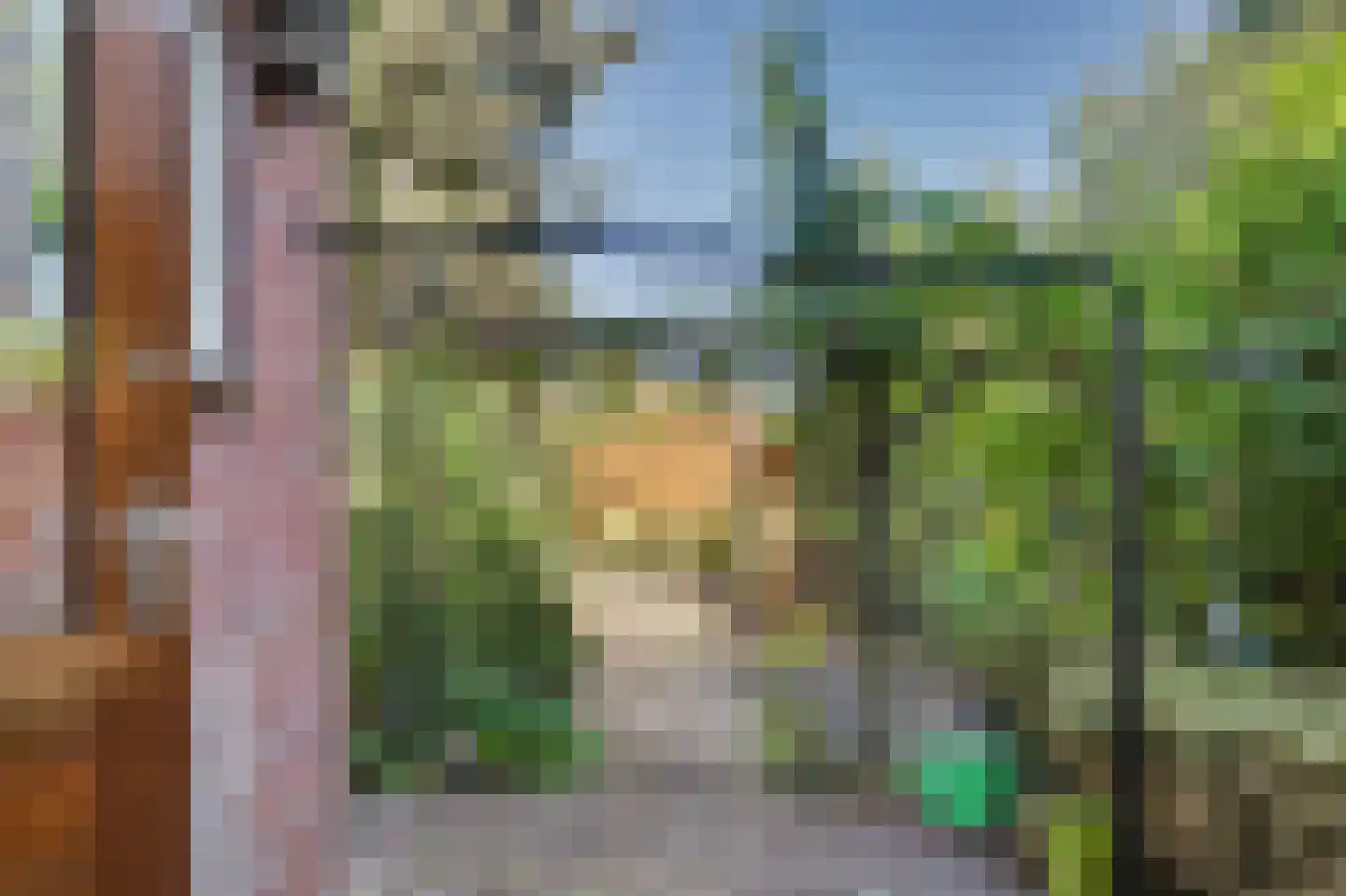 Omschoorweg 7 Raamsdonksveer thumbnail 35