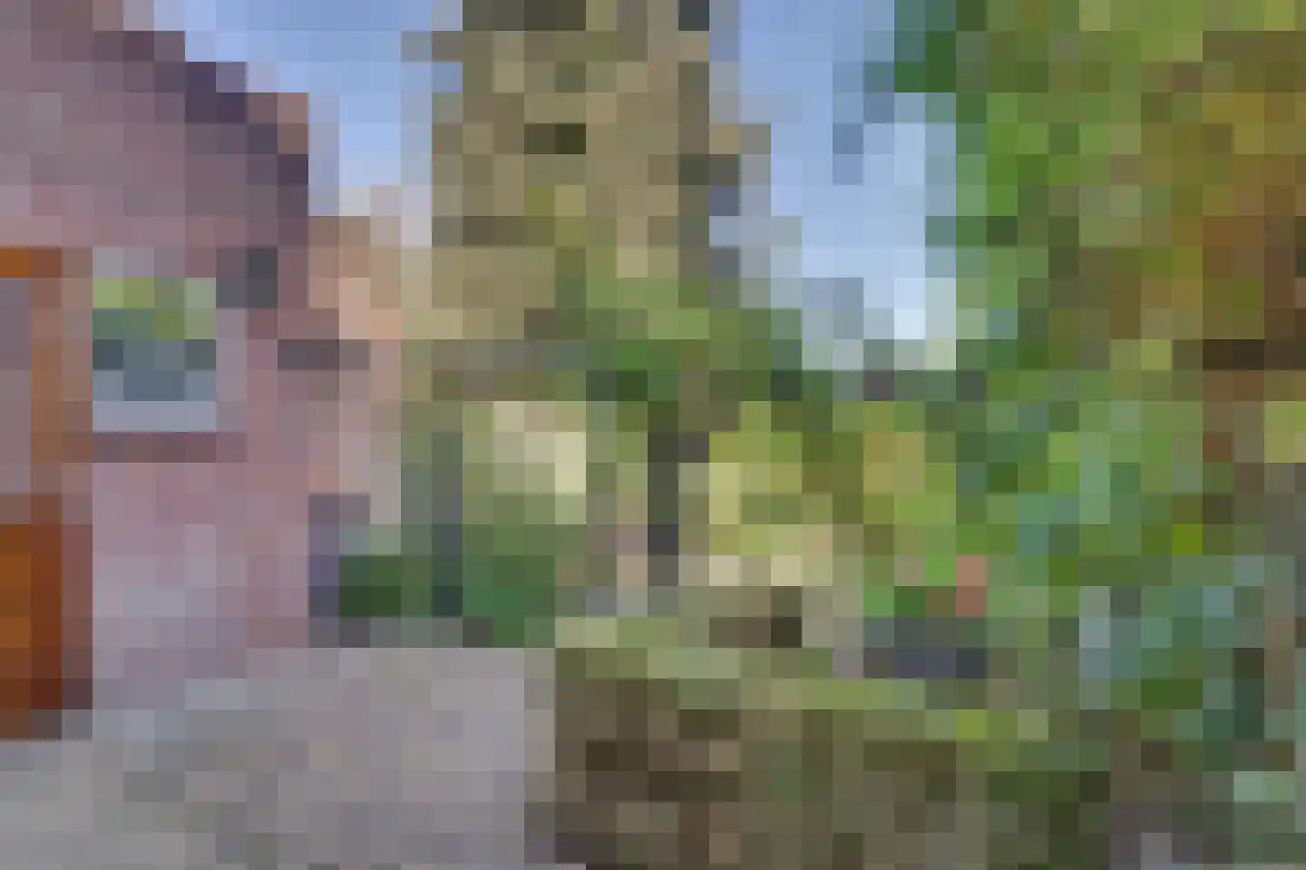 Omschoorweg 7 Raamsdonksveer thumbnail 36