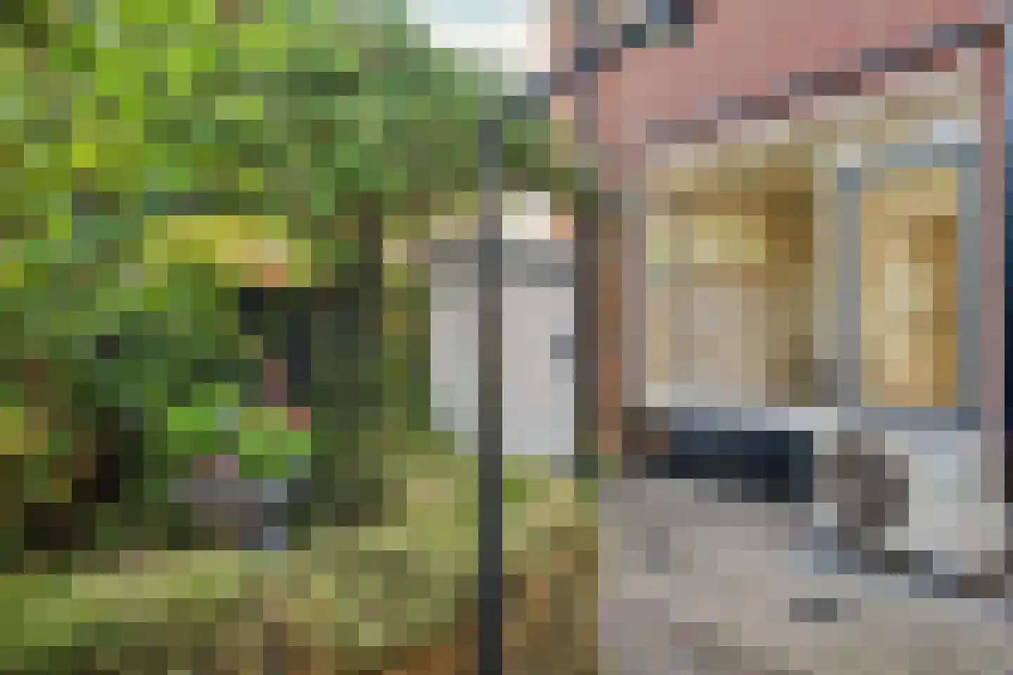Omschoorweg 7 Raamsdonksveer thumbnail 37