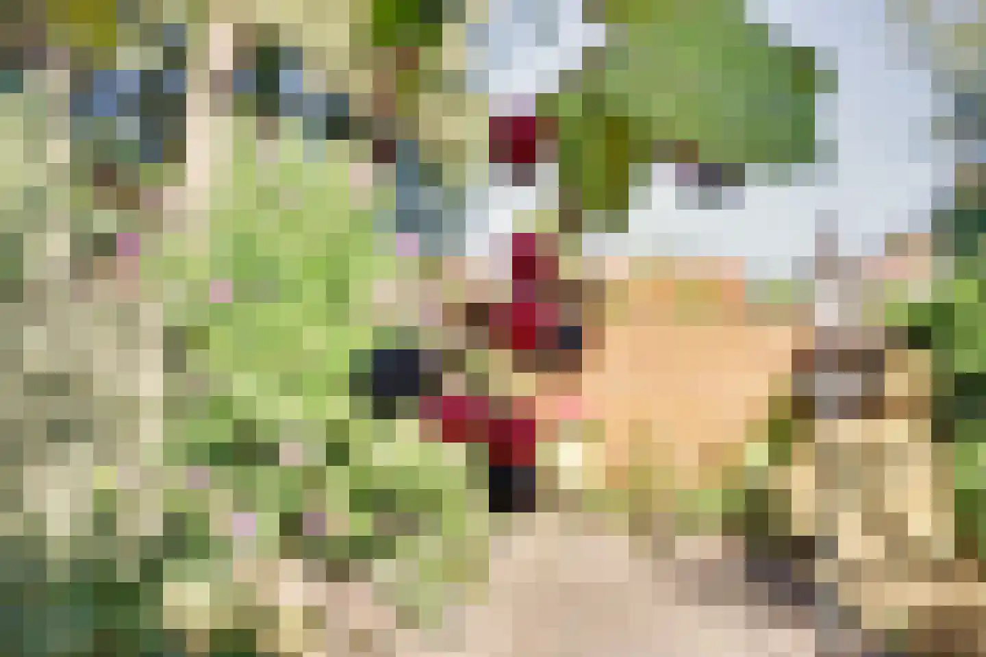 Omschoorweg 7 Raamsdonksveer thumbnail 39