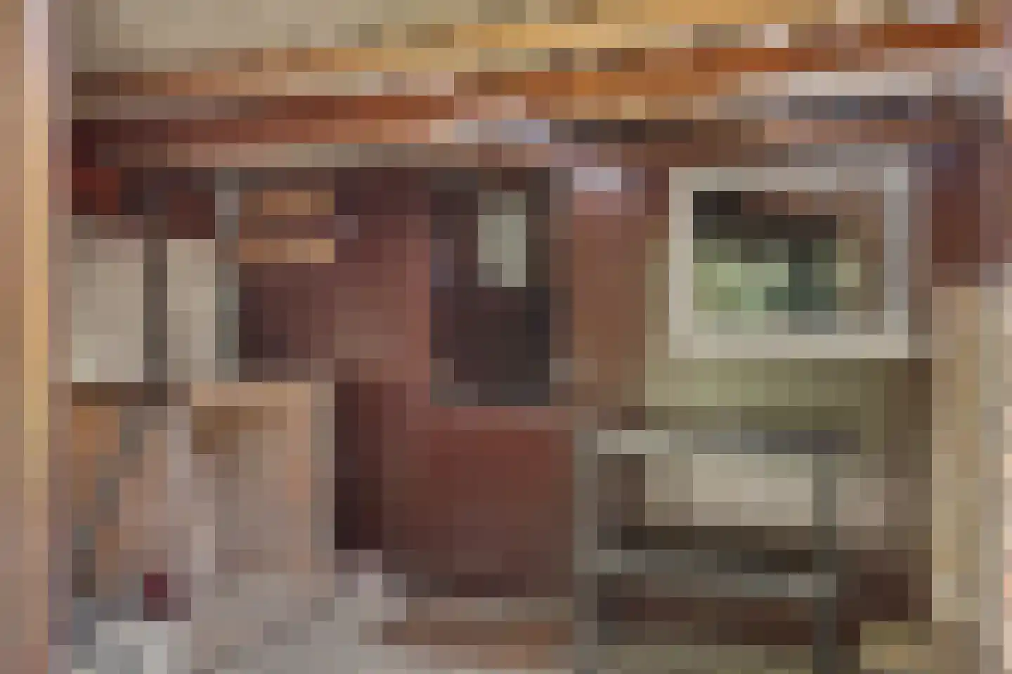 Omschoorweg 7 Raamsdonksveer thumbnail 41
