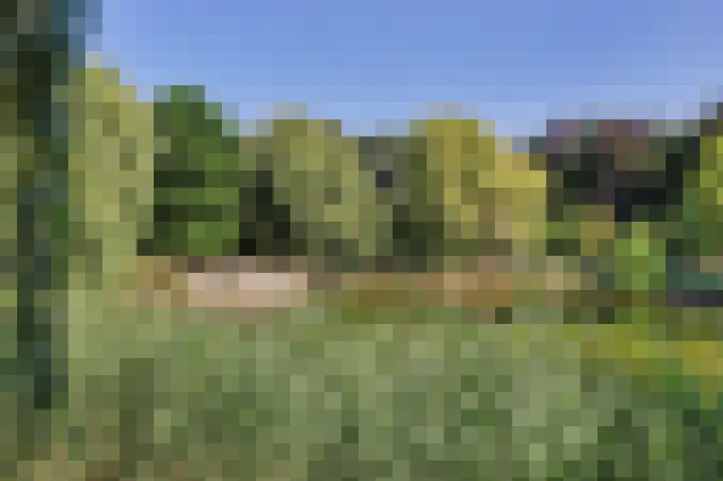 Omschoorweg 7 Raamsdonksveer thumbnail 42