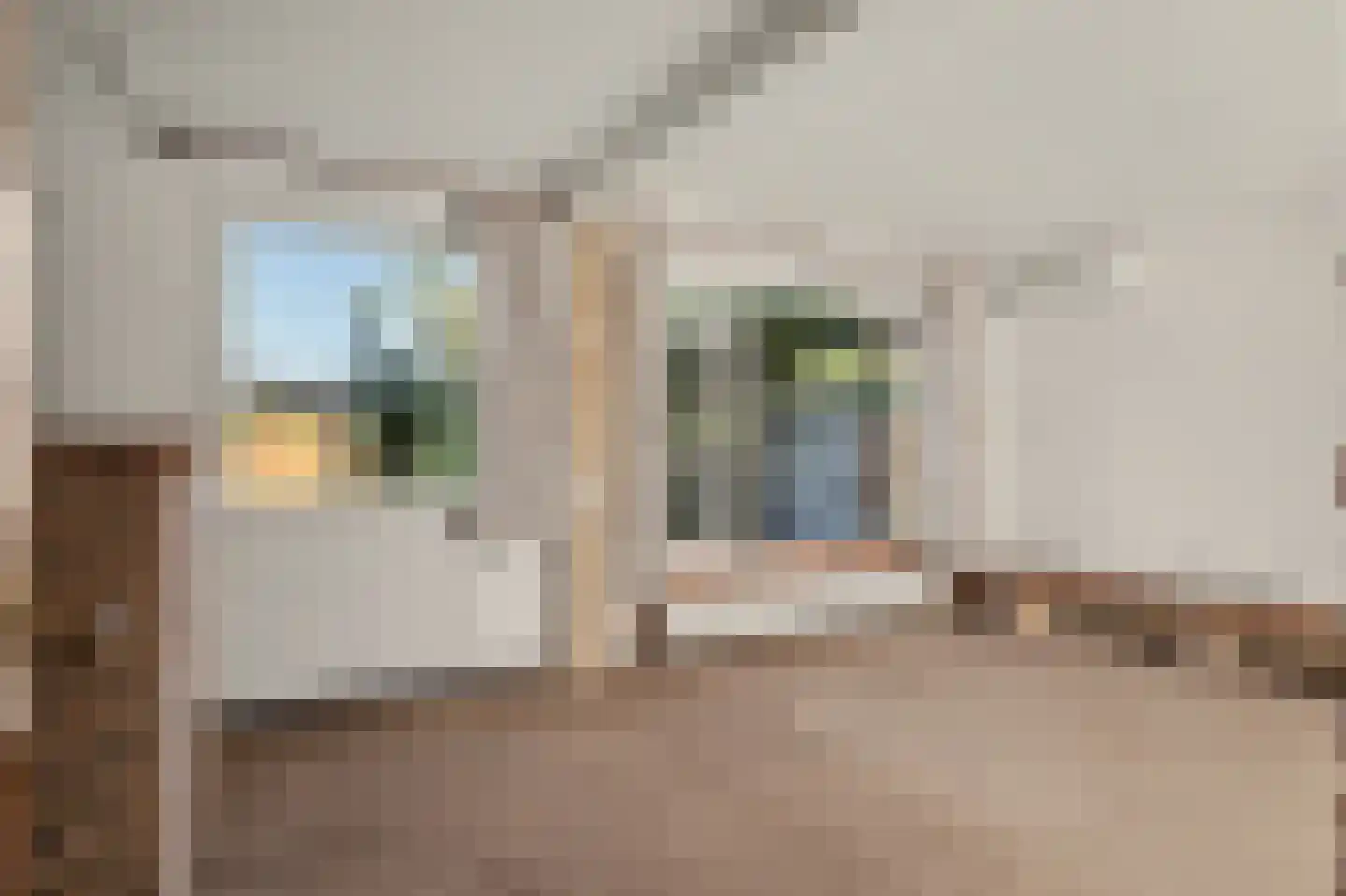 Omschoorweg 7 Raamsdonksveer thumbnail 7
