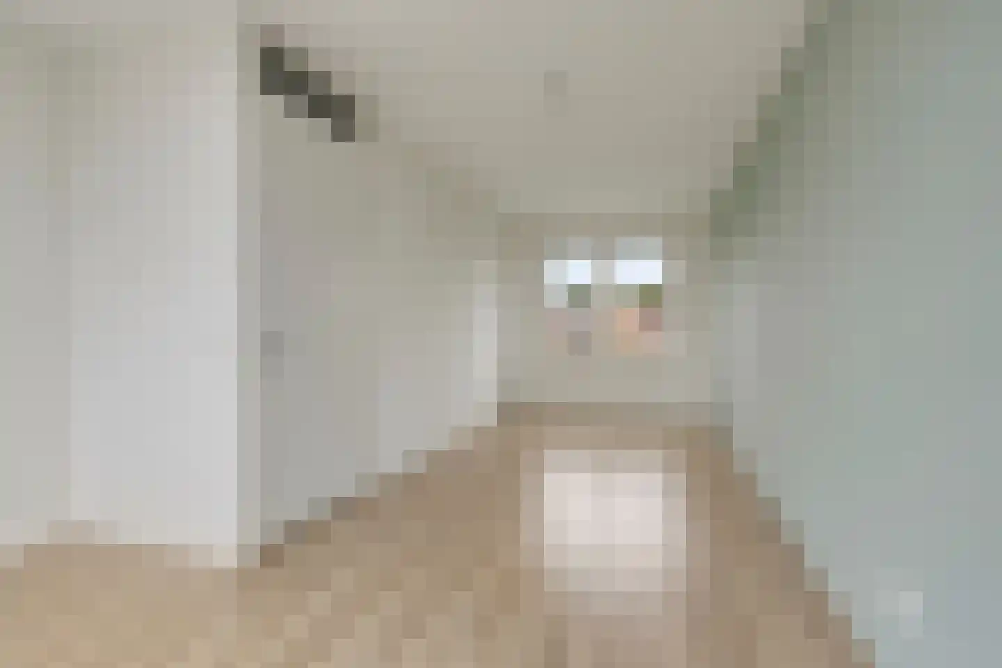Omslag 43 Meppel thumbnail 18