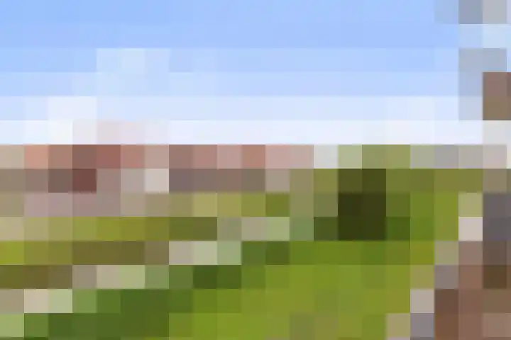 Omslag 9 Meppel thumbnail 21