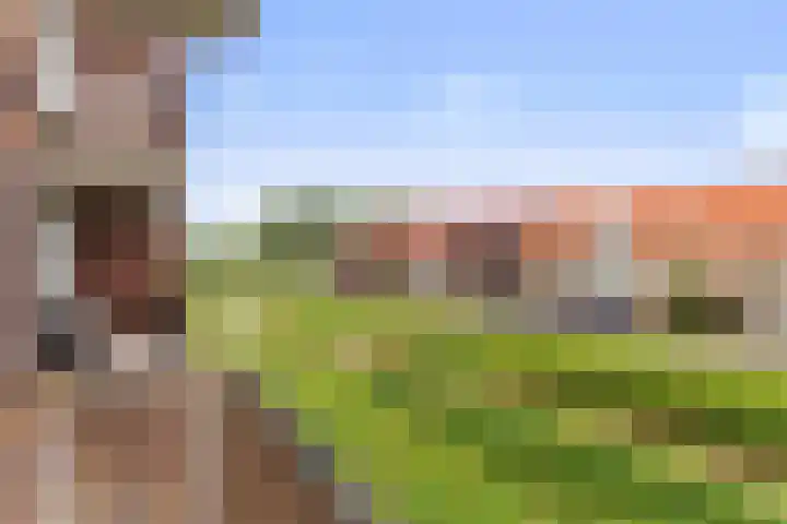 Omslag 9 Meppel thumbnail 22