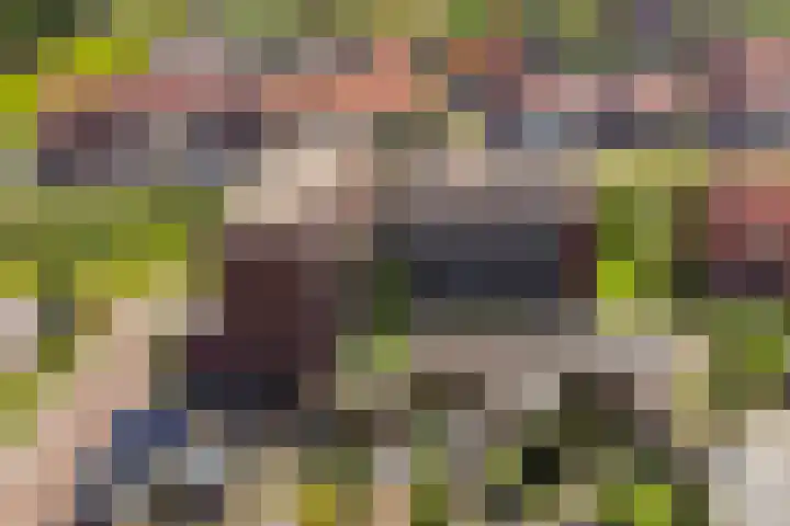 Omslag 9 Meppel thumbnail 45