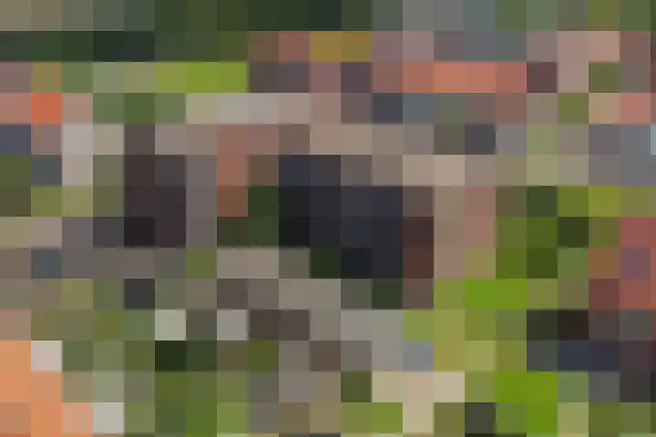 Omslag 9 Meppel thumbnail 47