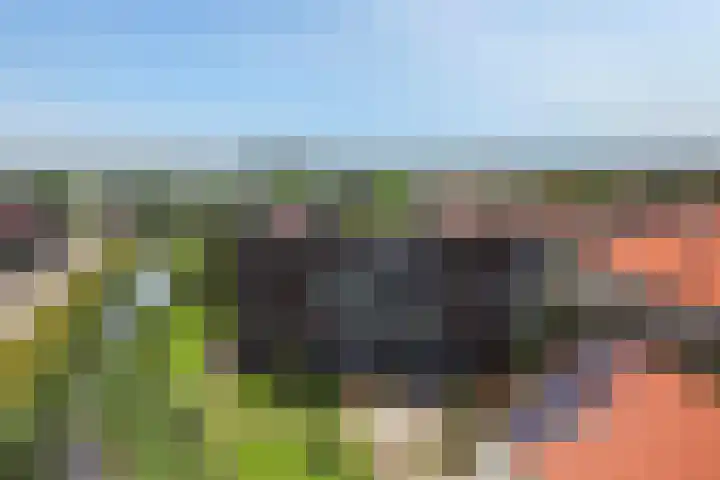Omslag 9 Meppel thumbnail 51