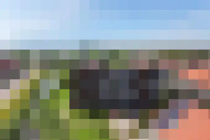 Omslag 9 Meppel thumbnail 52
