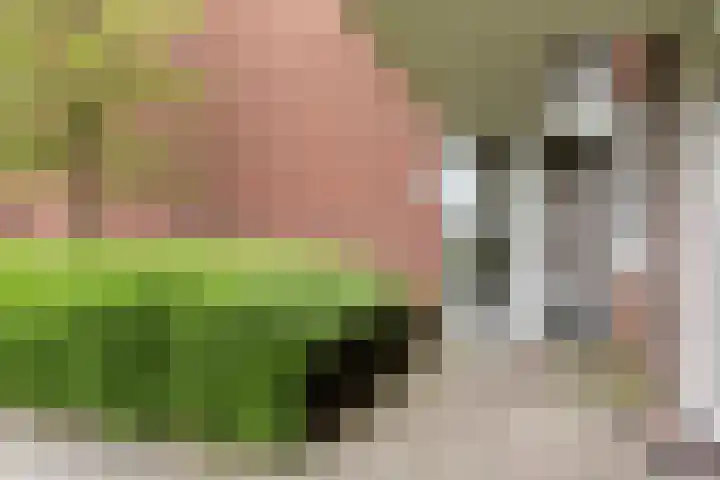 Omslag 9 Meppel thumbnail 6